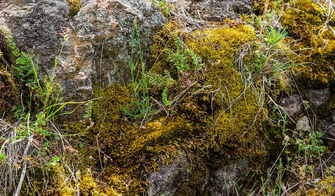 Hopetoun Falls Walking Track - Inverell Accommodation 2