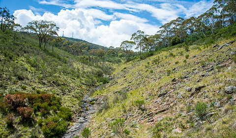 Hopetoun Falls Walking Track - Inverell Accommodation 3