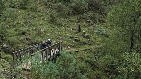 Mount Canobolas State Conservation Area - Inverell Accommodation 3