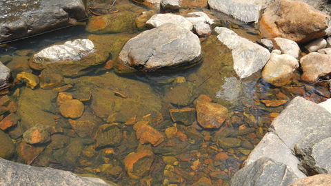 Mount Canobolas State Conservation Area - Inverell Accommodation 2