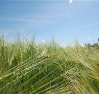 150 Degrees East Meridian - Inverell Accommodation