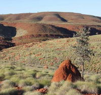 Camel Trail Millstream-Chichester National Park - Inverell Accommodation