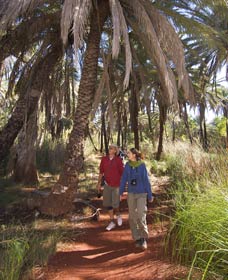Millstream Chichester National Park - Inverell Accommodation 2