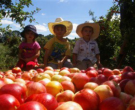 Bonny Glen Fruits - Inverell Accommodation 0