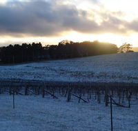 Charles Sturt University Winery - Inverell Accommodation