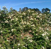 Huntley Berry Farm - Inverell Accommodation