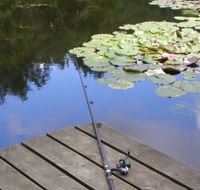 Ophir Reserve - Inverell Accommodation