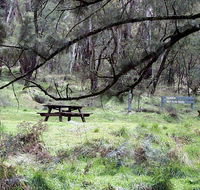Fourth Crossing picnic area - Inverell Accommodation