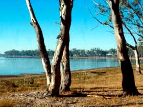 Lake Broadwater Conservation Park - Inverell Accommodation 0