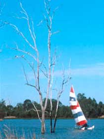 Lake Broadwater Conservation Park - Inverell Accommodation 2
