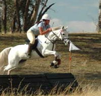 National Equestrian Centre - Kerrabee - Inverell Accommodation