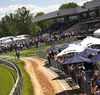 Thoroughbred Park Canberra Racing Club - Horse Racing in the Nations Capital - Inverell Accommodation