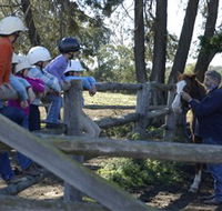 Harlow Park Horse Riding - Inverell Accommodation