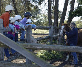 Harlow Park Horse Riding - Inverell Accommodation 0