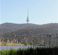 Black Mountain Peninsula - Inverell Accommodation