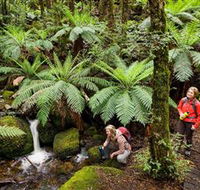 Baw Baw National Park - Inverell Accommodation