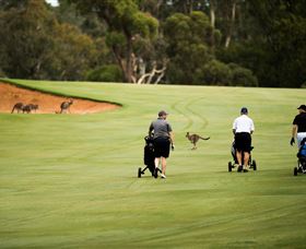 Federal Golf Club - Inverell Accommodation 0