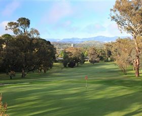 Federal Golf Club - Inverell Accommodation 1