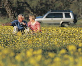Coalseam Conservation Park - Inverell Accommodation 0