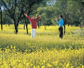 Coalseam Conservation Park - Inverell Accommodation 2