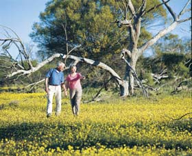 Coalseam Conservation Park - Inverell Accommodation 3