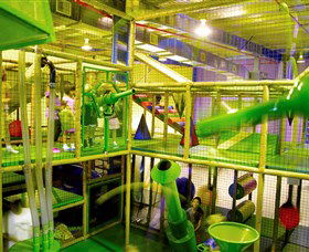 Monkey Mania - Inverell Accommodation 1