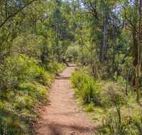 Mares Forest Creek walking track - Inverell Accommodation
