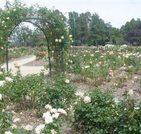 Victoria Park Rose Garden - Inverell Accommodation