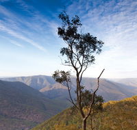 Salisbury Waters walking track - Inverell Accommodation
