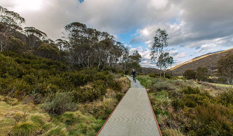 Thredbo Valley Track - Inverell Accommodation 0
