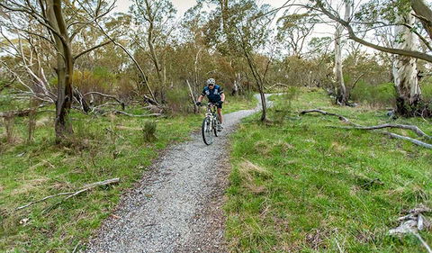 Thredbo Valley Track - Inverell Accommodation 1