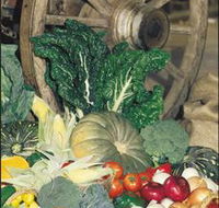 Mulgowie Real Farmers Markets - Inverell Accommodation