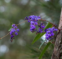 Mann River Nature Reserve - Inverell Accommodation