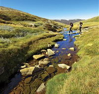 Australian Alps Walking Track - Inverell Accommodation