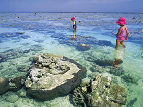 Southern Great Barrier Reef - Inverell Accommodation 1