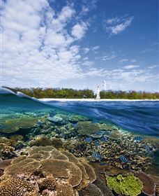 Southern Great Barrier Reef - Inverell Accommodation 2