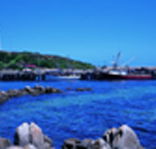 King Island Dairies - Inverell Accommodation