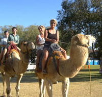 Calamunnda Camel Farm  - Inverell Accommodation