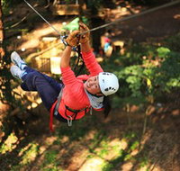 Trees Adventure Grose River Park - Inverell Accommodation
