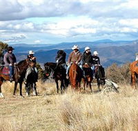 Snowy Wilderness - Inverell Accommodation