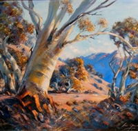 Kunama Snowy Mountains Centre for the Arts - Inverell Accommodation