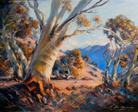 Kunama Snowy Mountains Centre For The Arts - Inverell Accommodation 0