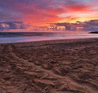 Mon Repos Beach - Inverell Accommodation