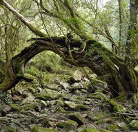 Mitchell River National Park - Inverell Accommodation