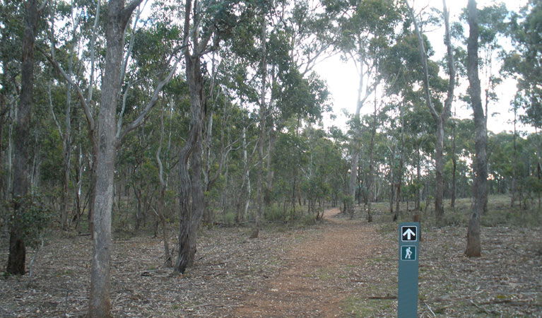  Inverell Accommodation
