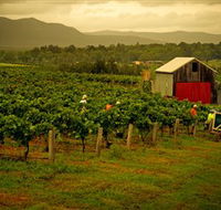Around Hermitage Wine and Food Trail Hunter Valley - Inverell Accommodation