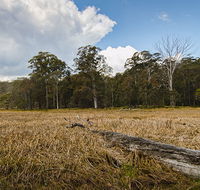 Mummel Gulf National Park - Inverell Accommodation