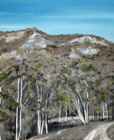 Greg Wilson Gallery - Inverell Accommodation 2