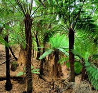 Pegarah Private Nature Reserve  Parenna Place - Inverell Accommodation