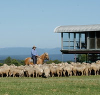 Tobruk Sydney - Inverell Accommodation